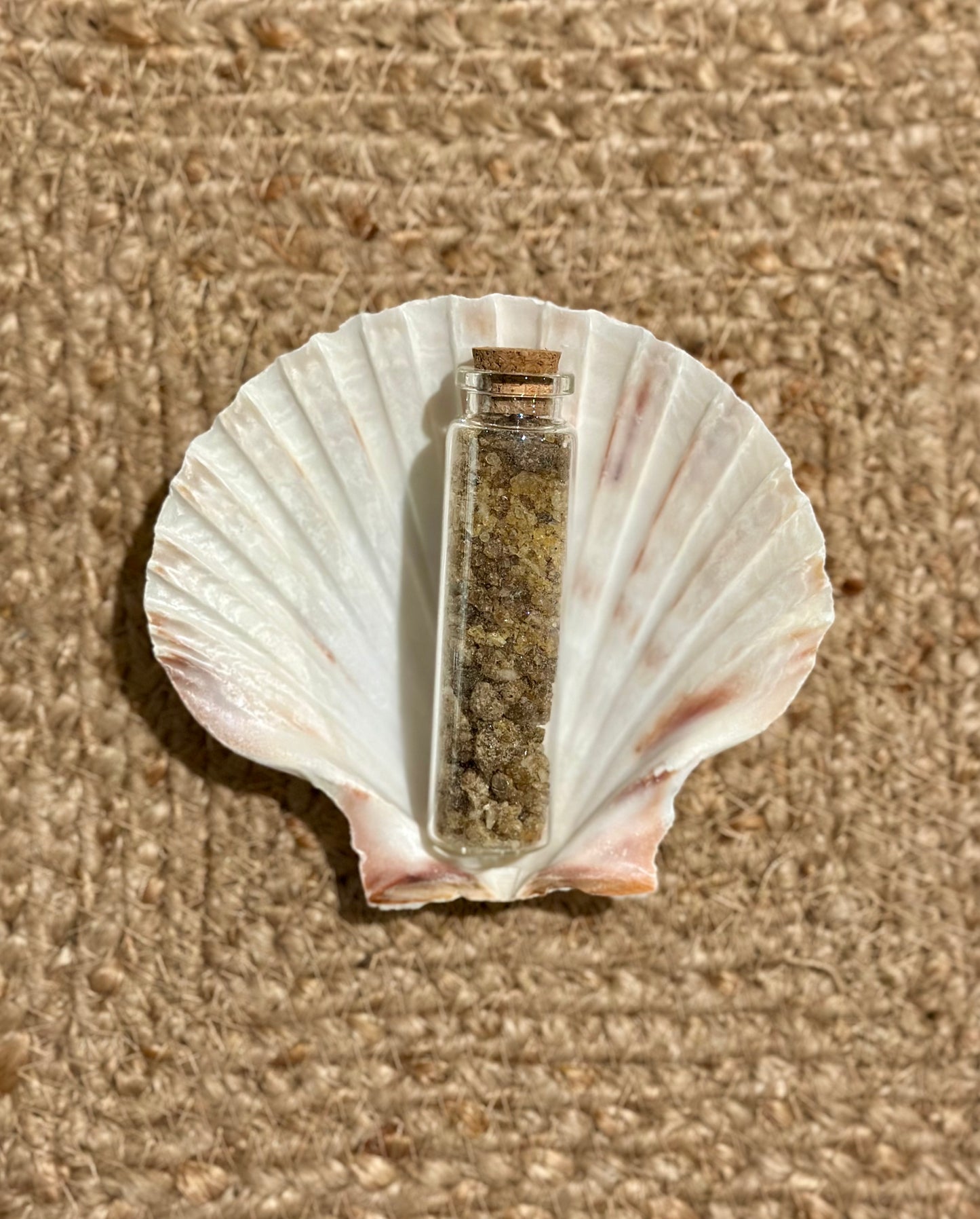 Encens de Benjoin - 12g & Coquille Saint-Jacques Naturelle