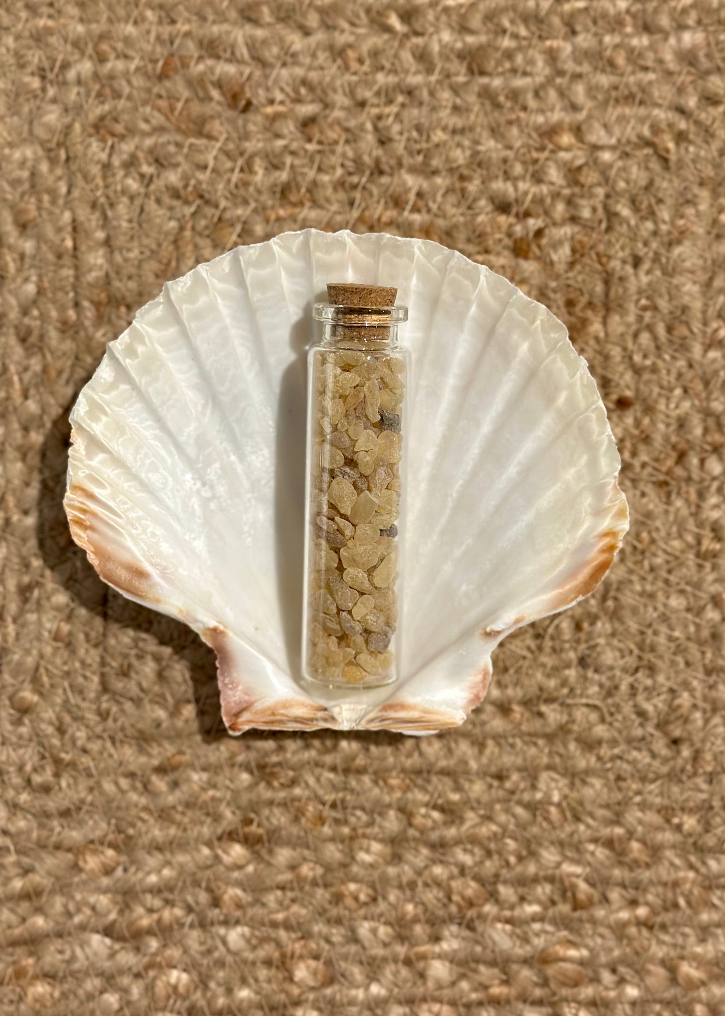 Encens d’Oliban – 12 g & Coquille Saint-Jacques Naturelle