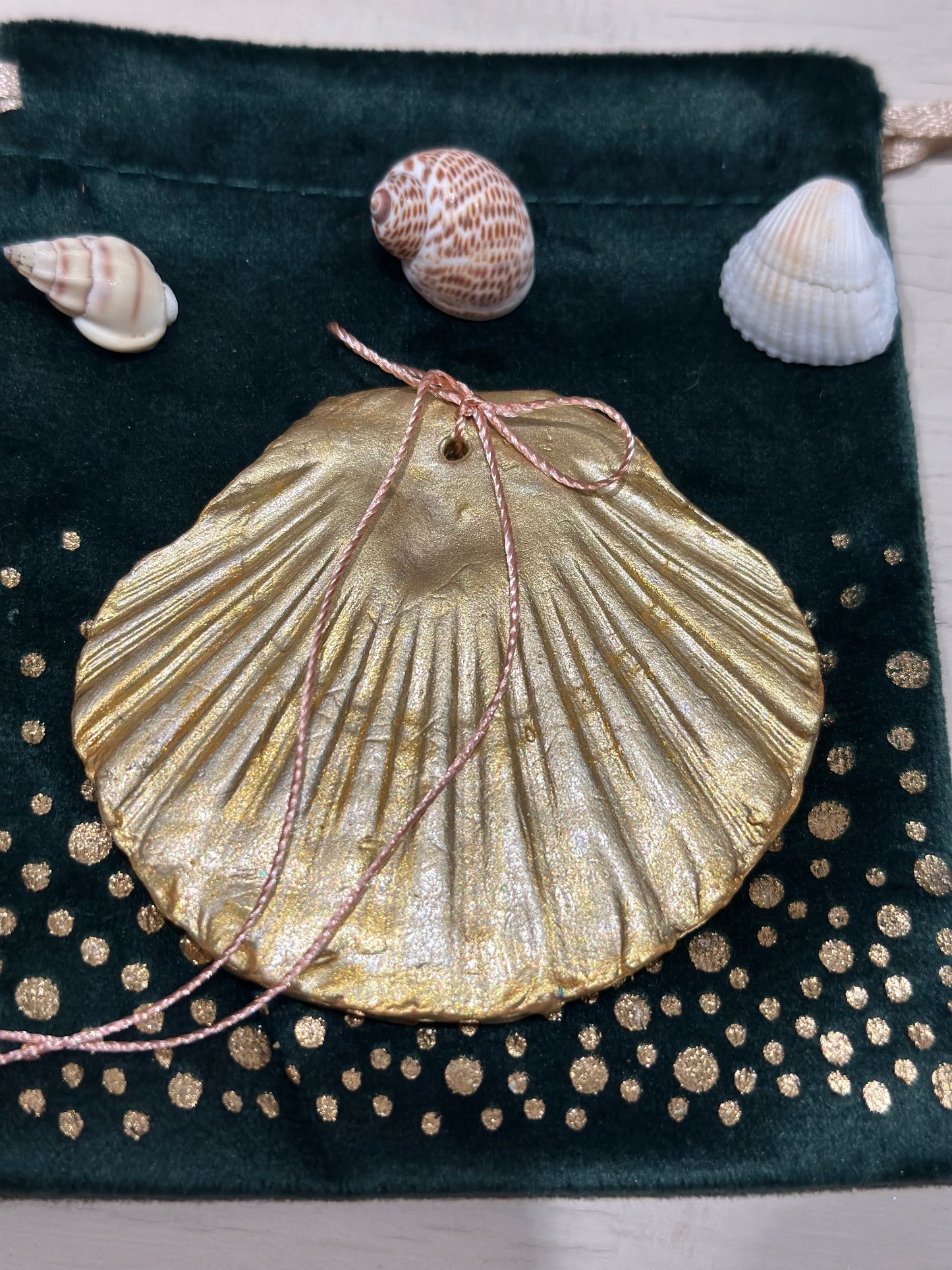 Talisman coquille Saint Jacques